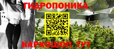 mdma Кингисепп
