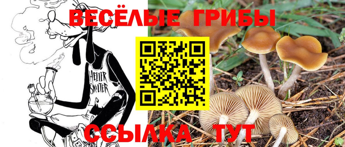 Кимовск  Галлюциногенные грибы Psilocybine cubensis  продажа наркотиков  Вход с VPN 