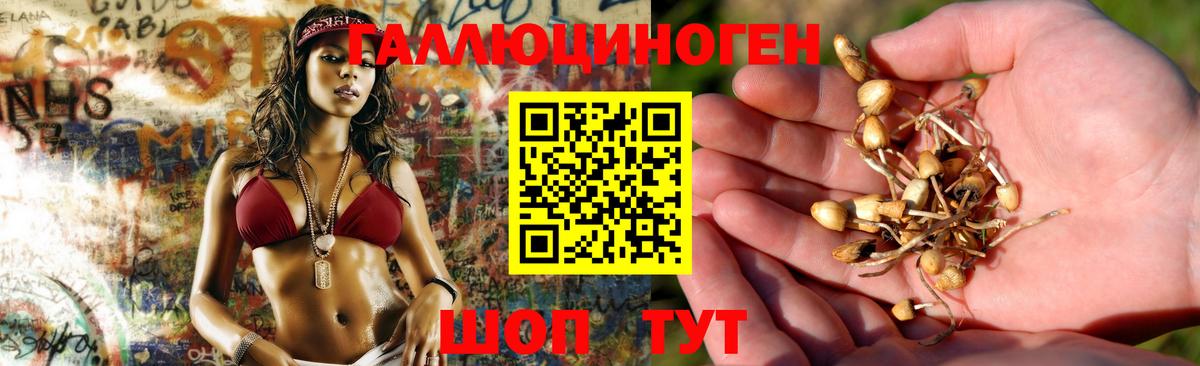 Галлюциногенные грибы ЛСД Кимовск